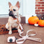 Dog Leash - Pinot