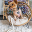 Dog Rope Leash - Dove