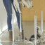 Clear Step-Over Pet Playpen , 24" High