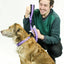 cuteNfuzzyÂ® Padded Adjustable Patterned Dog Collar with Warranty