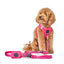 Poop Bag Holder - Park Ave Pink