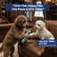 Paw Cleansing Foam Dog Paw Cleaner – Lick-Safe, Hydrating Formula with Built-In Brush Head