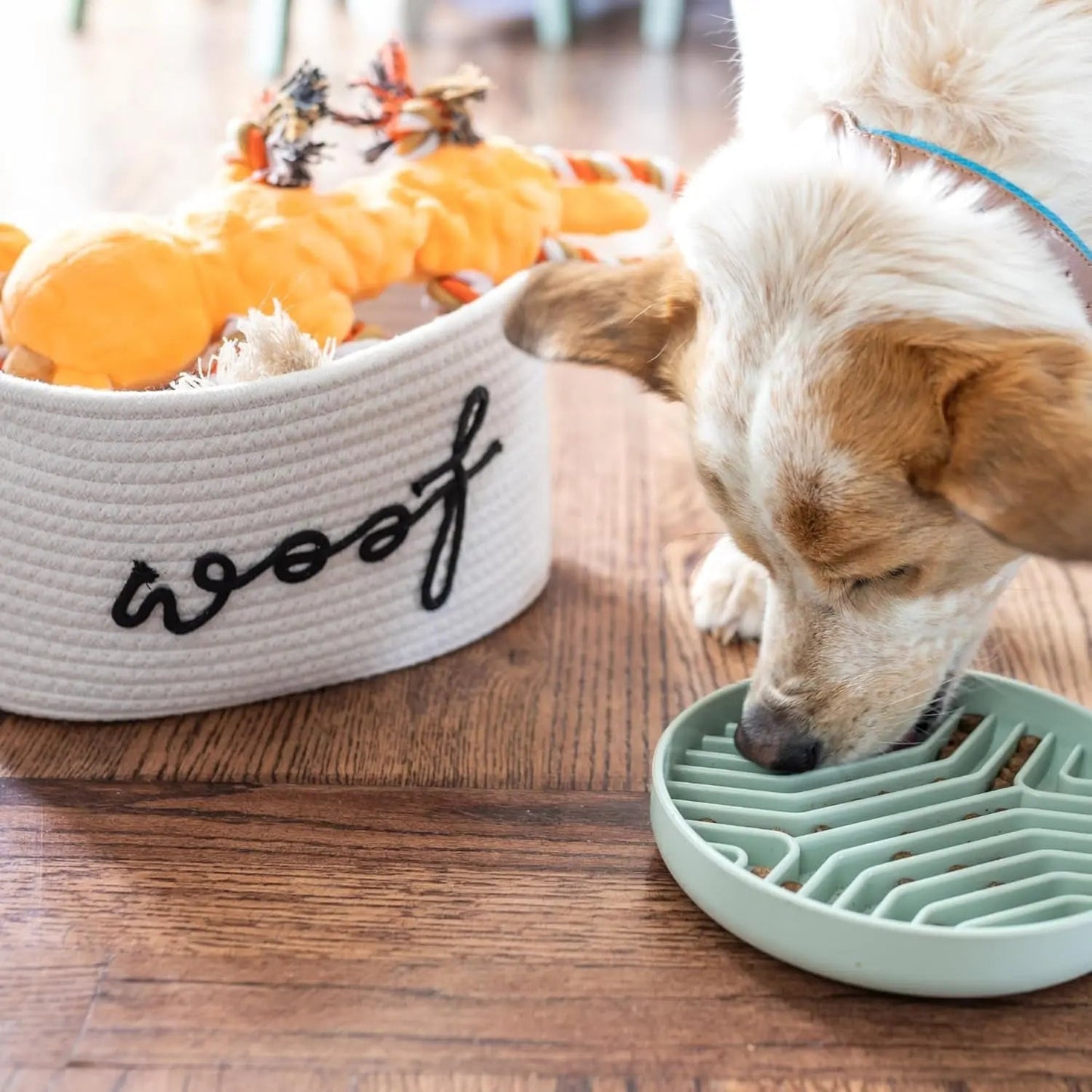 Premium New Puppy Gift Basket – Dog Starter Kit & Birthday Toy Set