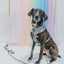 Dog Adjustable Harness - Disney's Snow White