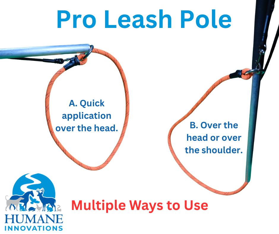 Pro Leash Pole