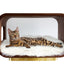 The LUNA Bed in Walnut