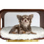 The LUNA Bed in Walnut