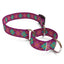Purple Argyle Dog Collar