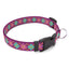 Purple Argyle Dog Collar