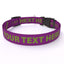 Personalized Dog Collar with Name - Solid Colors