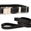 Quick-Release Style Leather Collar and Leash Set