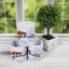 Rainbow Bridge Memory Mug