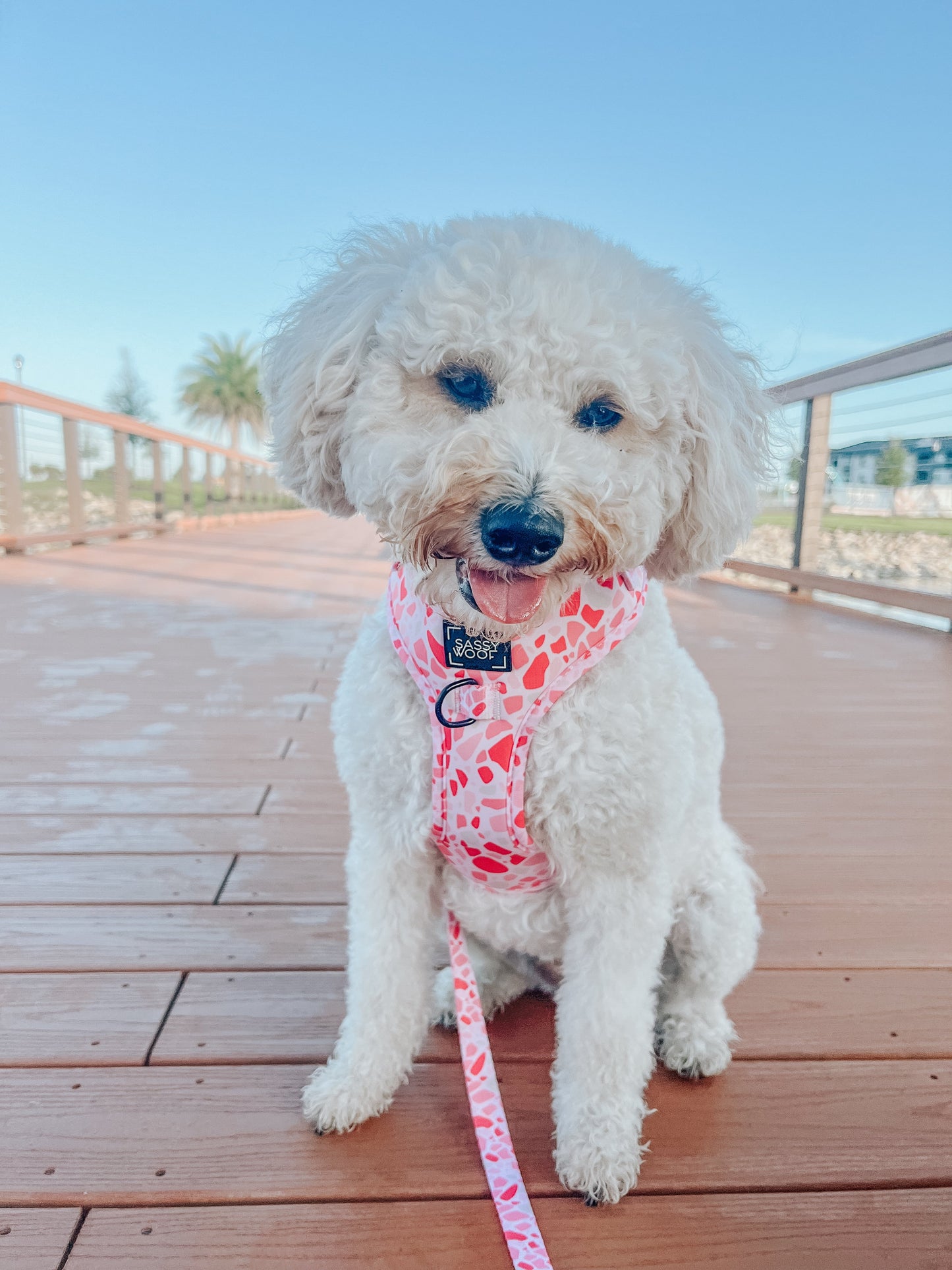 Dog Adjustable Harness - Mykonos