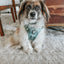 Dog Step-in Harness - Sage