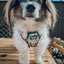 Dog Step-in Harness - Peanuts™ Beagle Scouts