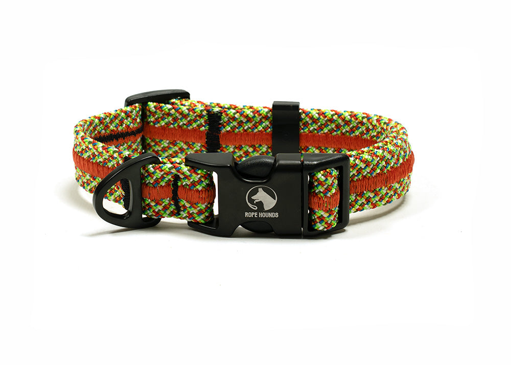 Adventure Dog Collar - Multicolor