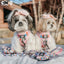 Dog Adjustable Harness - The Powerpuff Girls™ (Pink)