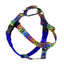 ROY G BIV Freedom No-Pull Dog Harness – EarthStyle