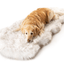 PupRug® Runner Faux Fur Memory Foam Dog Bed - Curve White with Brown Accents