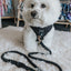 Dog Adjustable Harness - Baby Got Black