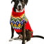 Holiday Fairisle Dog Sweater
