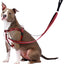Reflective Red Freedom No-Pull Dog Harness