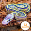 ReptiChip Breeder Blocks and Bundles