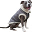 Retro Aviator Dog Jacket Faux Leather Sherpa Coat XS-3XL Winter