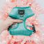 Dog Reversible Harness - Wag Your Teal