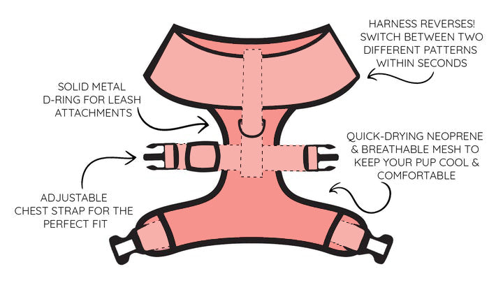 Dog Reversible Harness - Dolce Rose