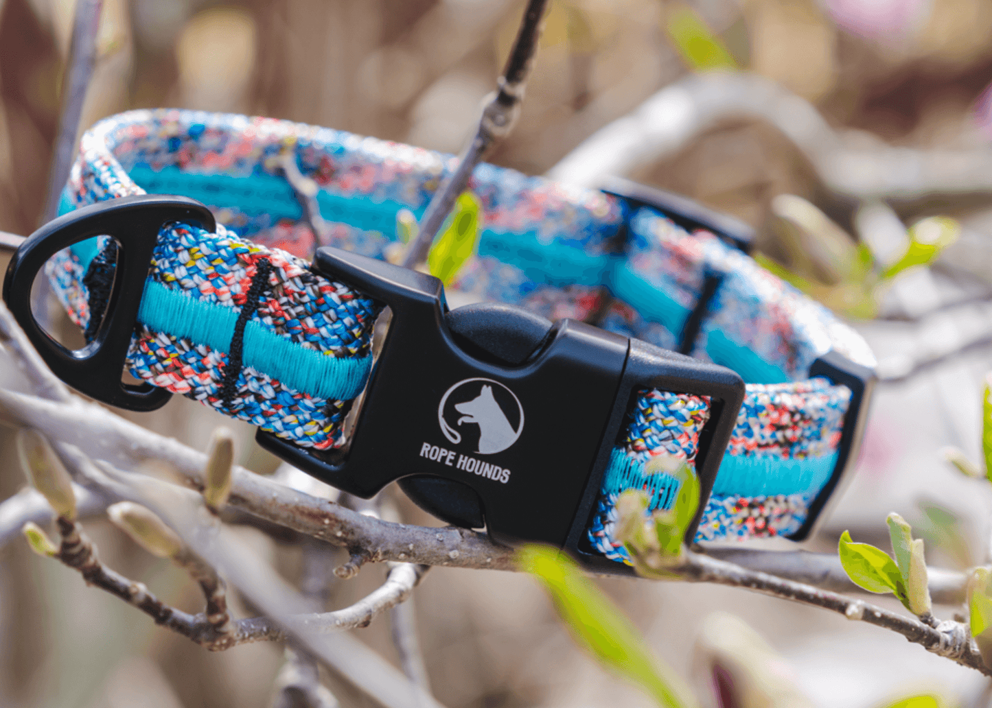 Adventure Dog Collar - Multicolor