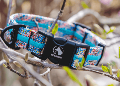 Adventure Dog Collar - Multicolor