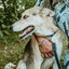 Rolled Leather Quick-Release Dog Collar