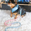 Dog Rope Leash - Romance