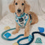 Dog Rope Leash - Romeo