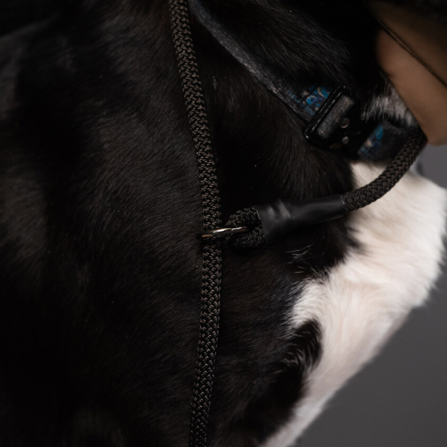 Rope Slip Leash - Small