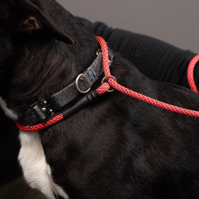 Rope Slip Leash - Small