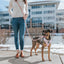 Hands Free Rope Leash - Rose All Day