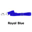 Royal Blue Nylon Dog Leash