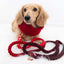 Dog Rope Leash - Ruby