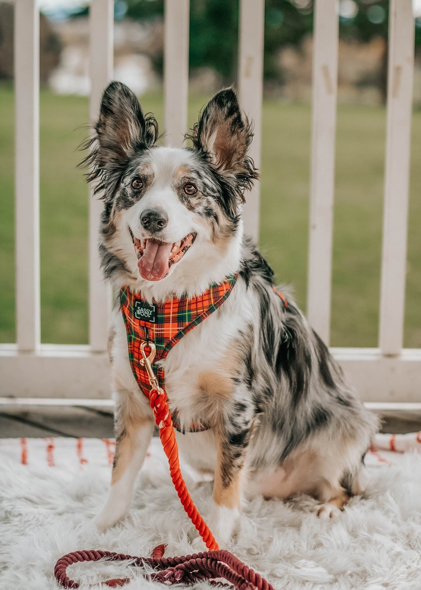 Dog Rope Leash - Ruby