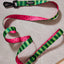 What-A-Melon Dog Leash
