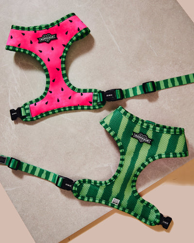 What-A-Melon Reversible Harness