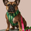 What-A-Melon Dog Leash