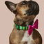 What-A-Melon Collar & Bowtie