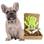 4-FURRY DOGS *REGULAR GROOMING KIT