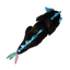 Ice the Dragon