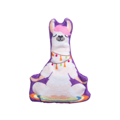 Kitty LLamaste with Catnip