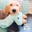 Sandy the Sea Horse