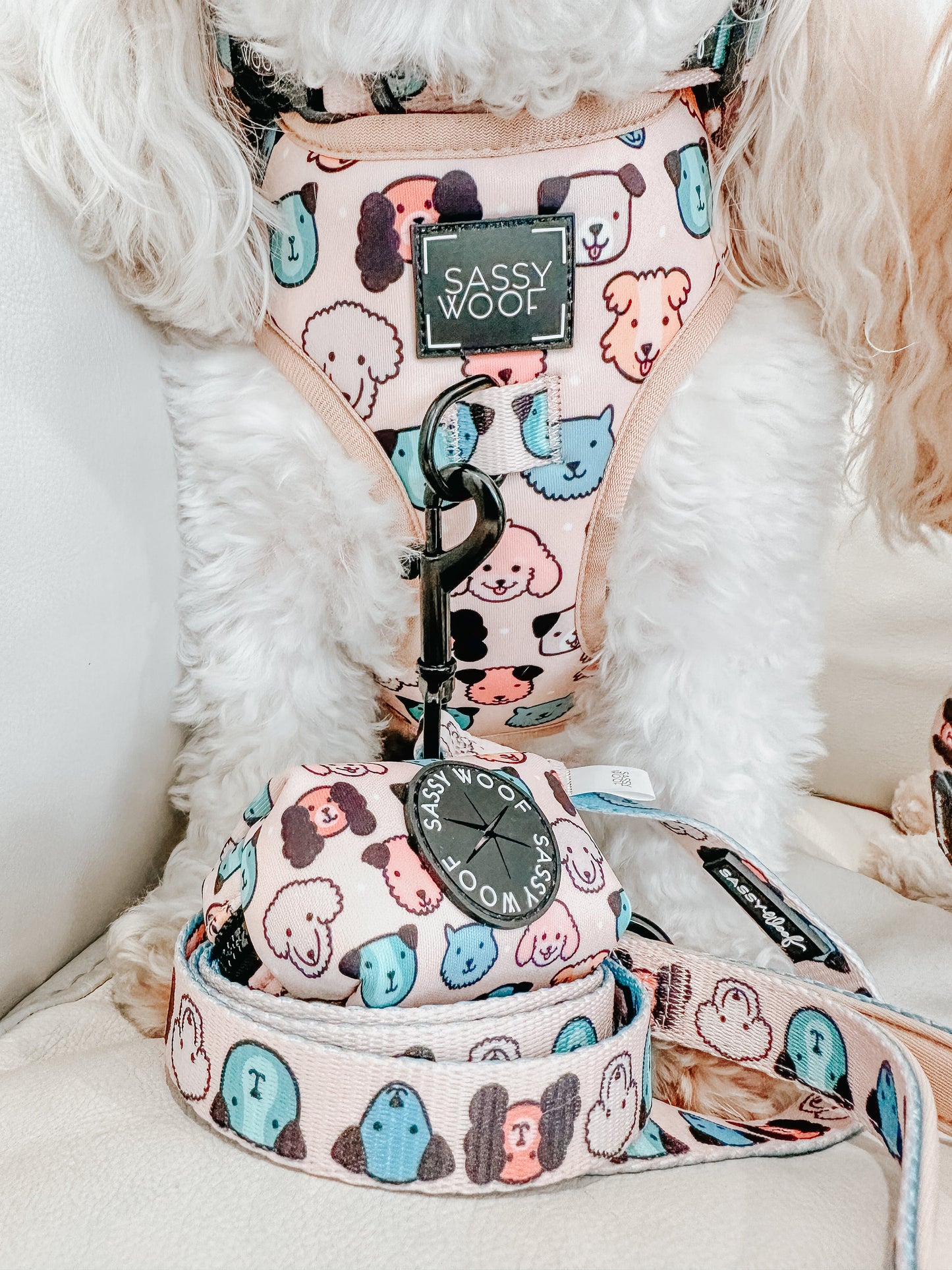 Dog Leash - Mixed With Love